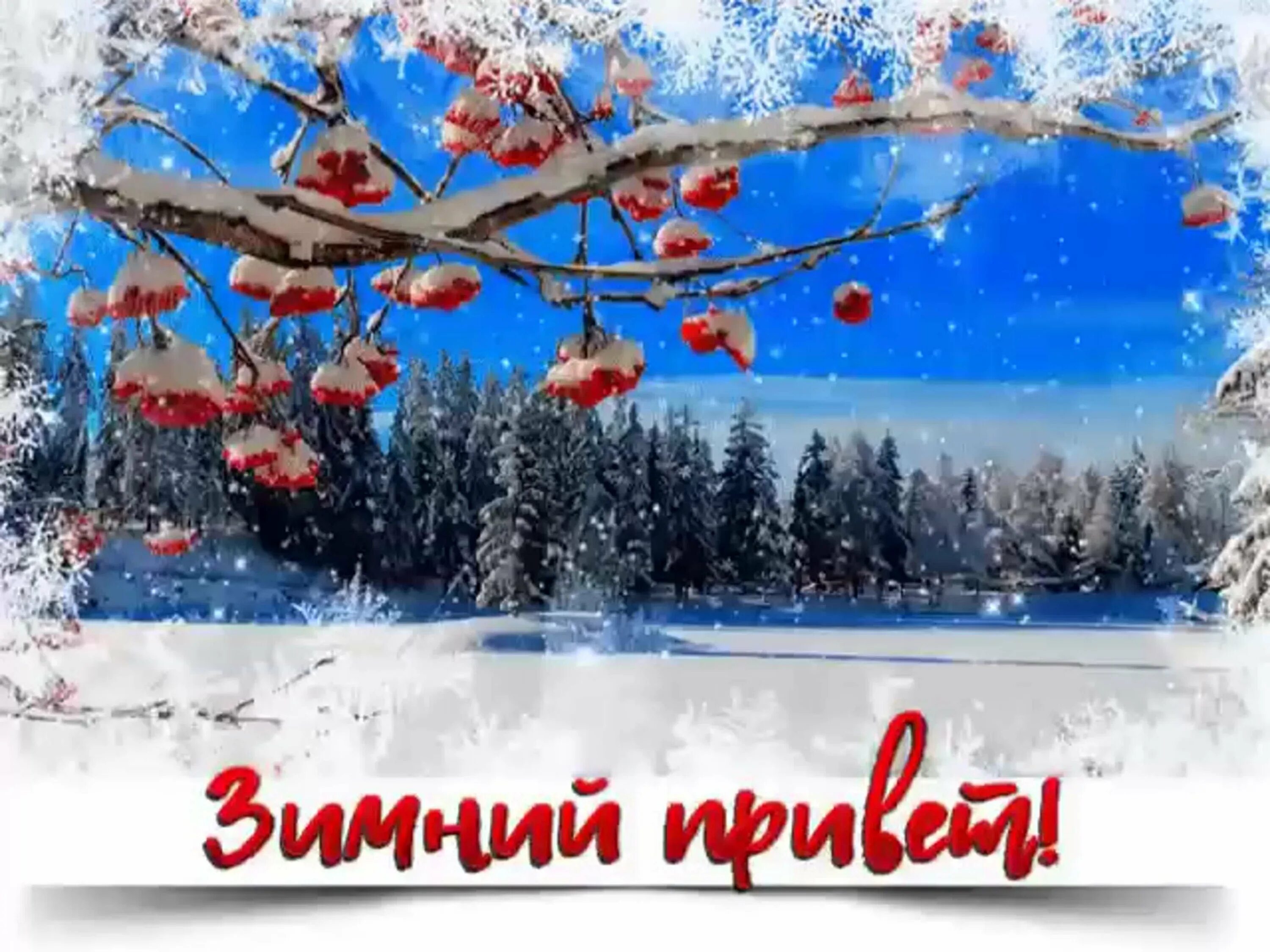 Открытки зимним днем. Открытка зимняя. открытки с зимним пейзажем. доброго зимнего дня. открытки с зимой.