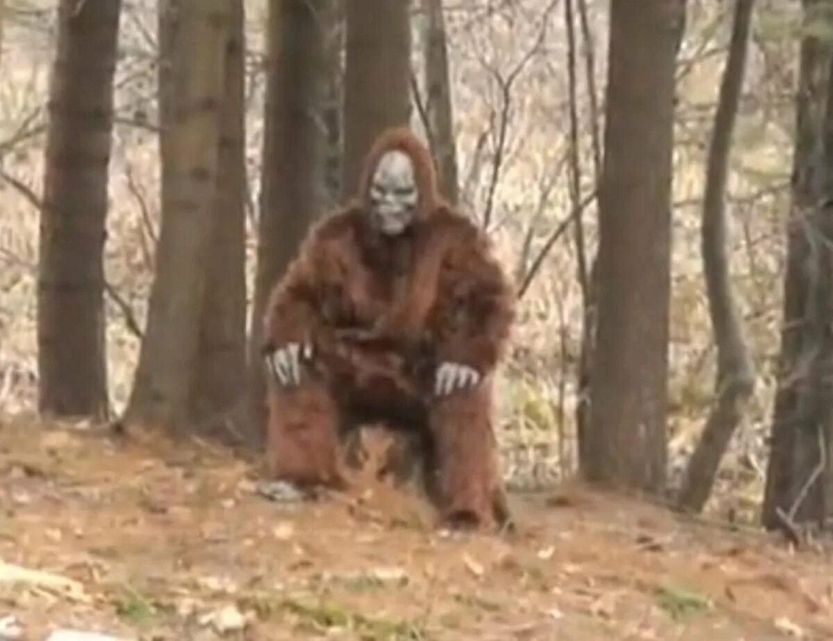 Снежный человек в таджикистане. Родственники йети из средней азии. Родственники йети из средней азии. Йети кемерово тулеев. Племена йети.