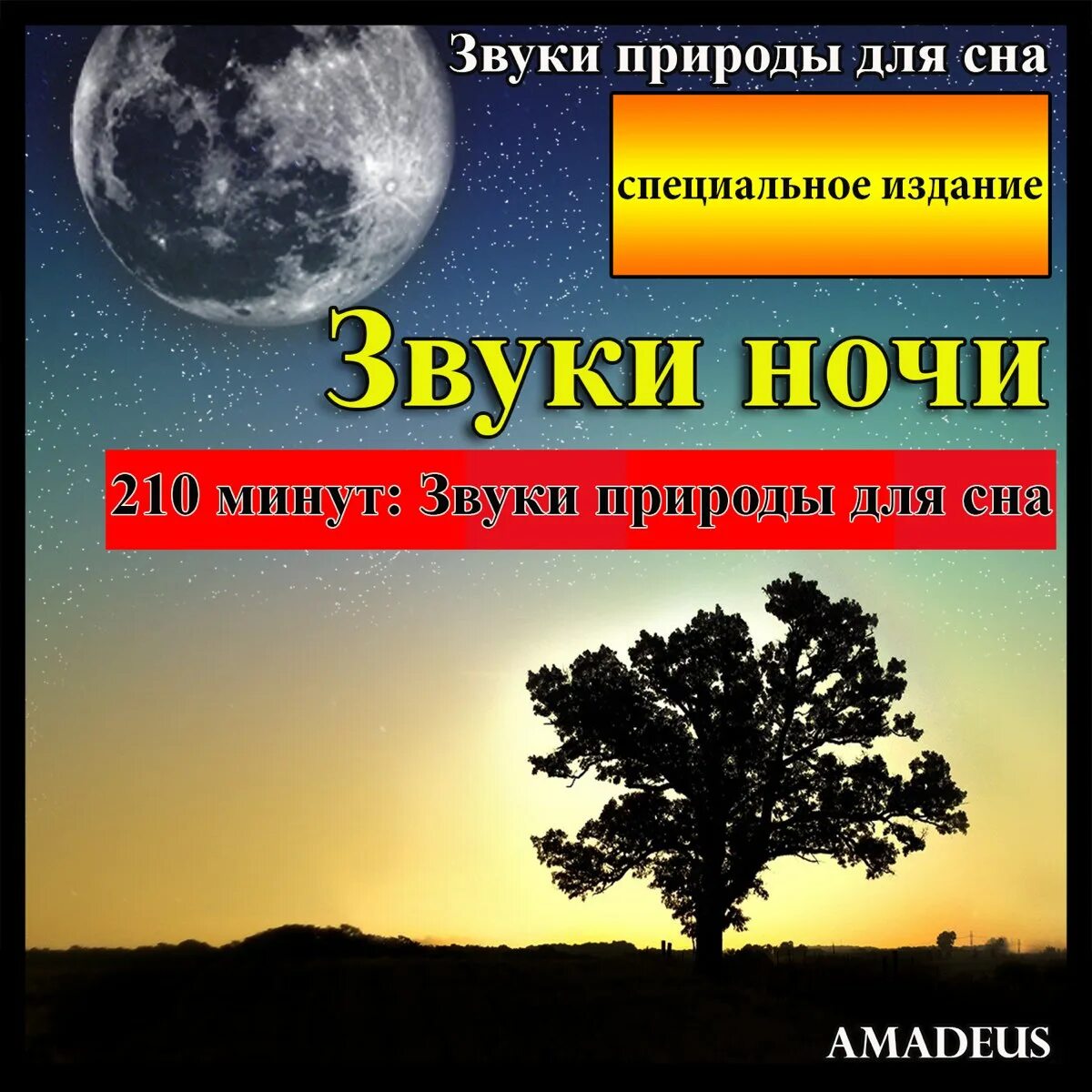 Ночные звуки. Звуки ночи для сна слушать. Как выглядят ночные звуки. Звуки природы для засыпания. Ночные звуки.