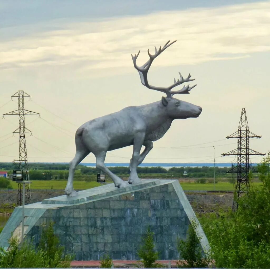 Памятник Северному оленю Салехард. Салехард города Ямало-Ненецкого автономного округа. Салехард, Ямал, ЯНАО. Достопримечательности Ямала в Салехарде. Салехард животный