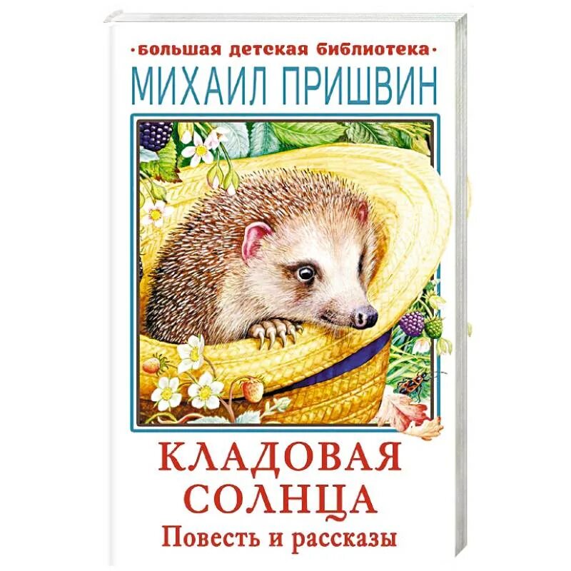 Кладовая солнца жанр. Повесть кладовая солнца. книга кладовая солнца. пришвин кладовая солнца отзыв. отзыв о книге кладовая солнца.