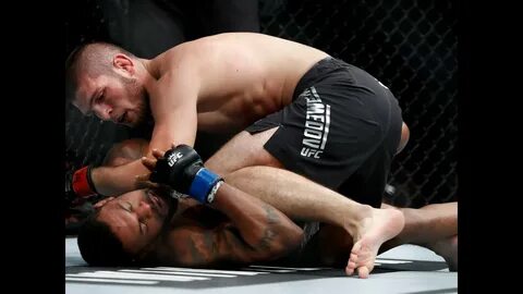 Смешанные бои ufc