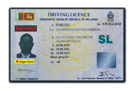 E licence kz