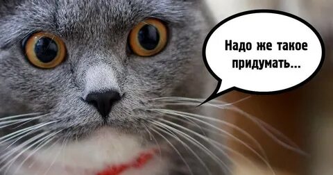 Ну что придумала что нибудь