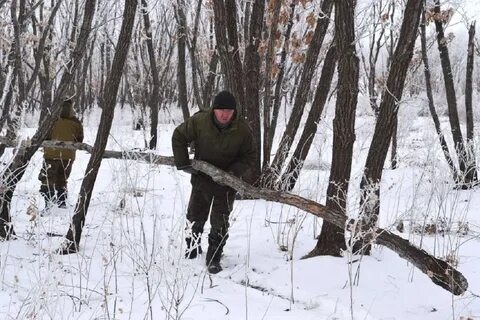 Собирать сучья