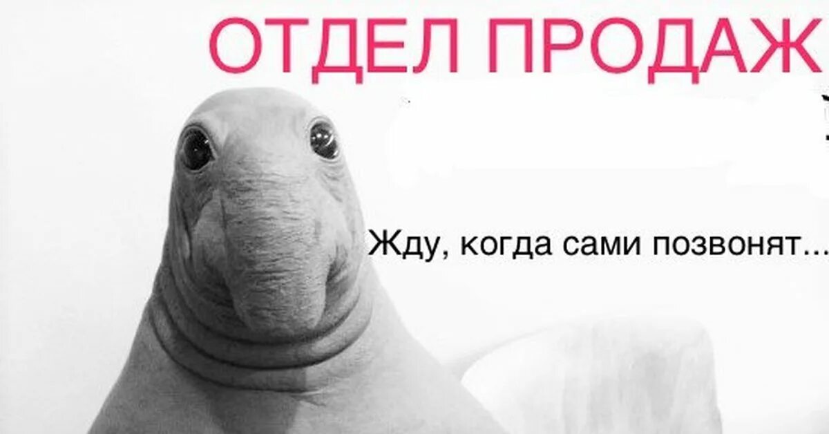 Жду в очереди. Ждем покупателей. Avon конференция. Ждун на белом фоне картинки. Клиент ждет.
