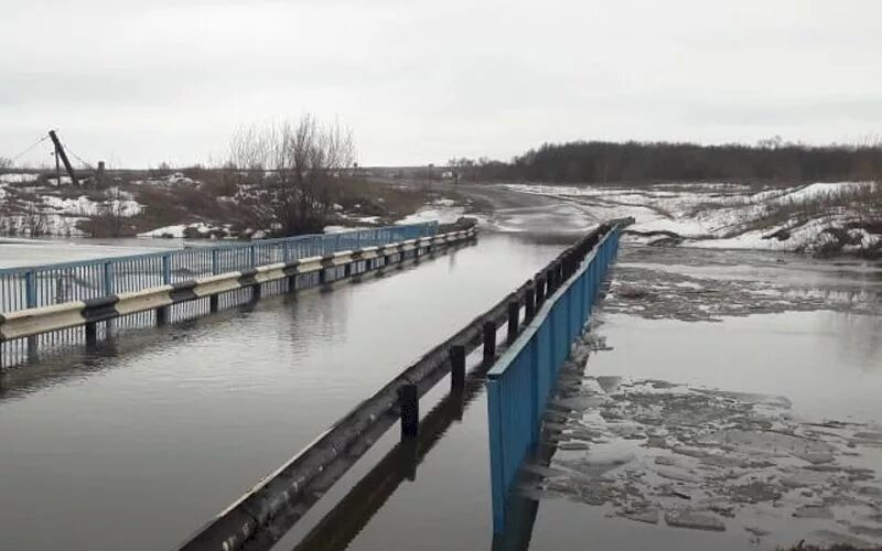 Уровень реки мокша. Река мокша рыбкино. мост мокша рыбкино. мордовия мокша село рыбкино. сивинь (река).