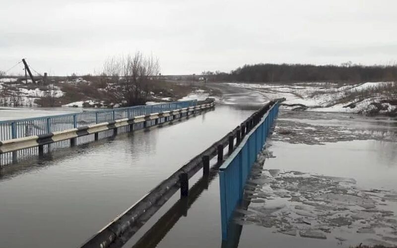 Уровень воды в мокше на сегодня. Река Мокша Рыбкино. Мост Мокша Рыбкино. Мордовия Мокша село Рыбкино. Сивинь (река).