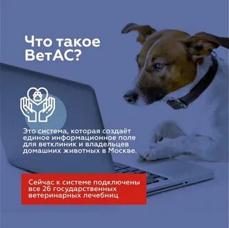 Ветас