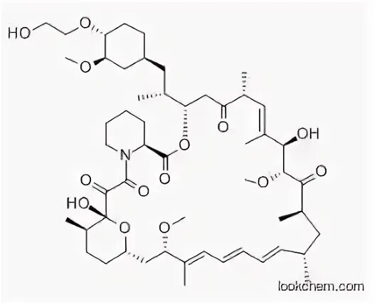69 6 1