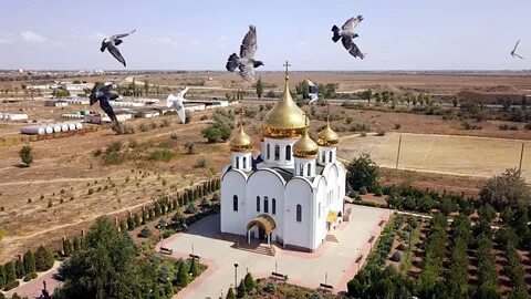 Птице комплексы