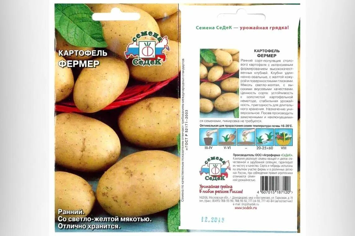 Картофель сорт фермер. Картофель седек фермер семена описание. сорт картофеля гулливер. семена картофель фермер седек. сорт картошки гулливер.