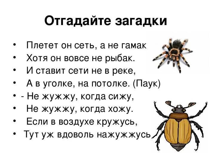 Про пауков для детей 3. Про пауков для детей 3. Стих про паучка детский. Мультфильм про паучка. Стих про паука для детей.