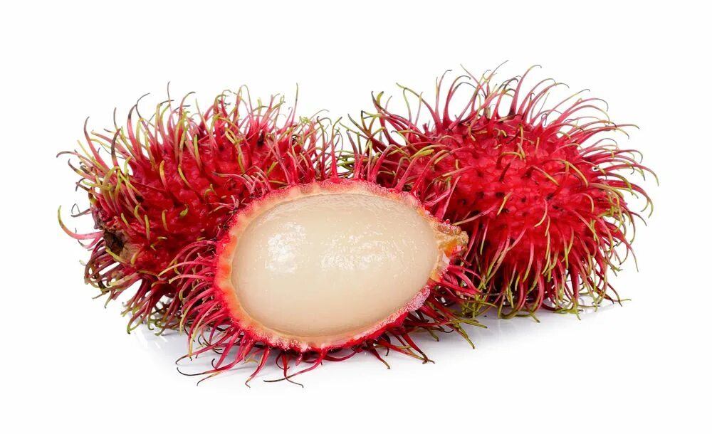 Рамбутан фрукт. Rambutan fz capcat. Экзотический фрукт рамбутан. Rambutan fz capcat. Рамбутан переспелый.
