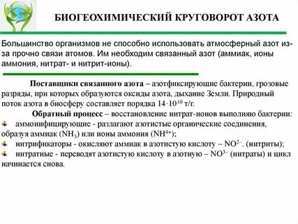 Большинство тел