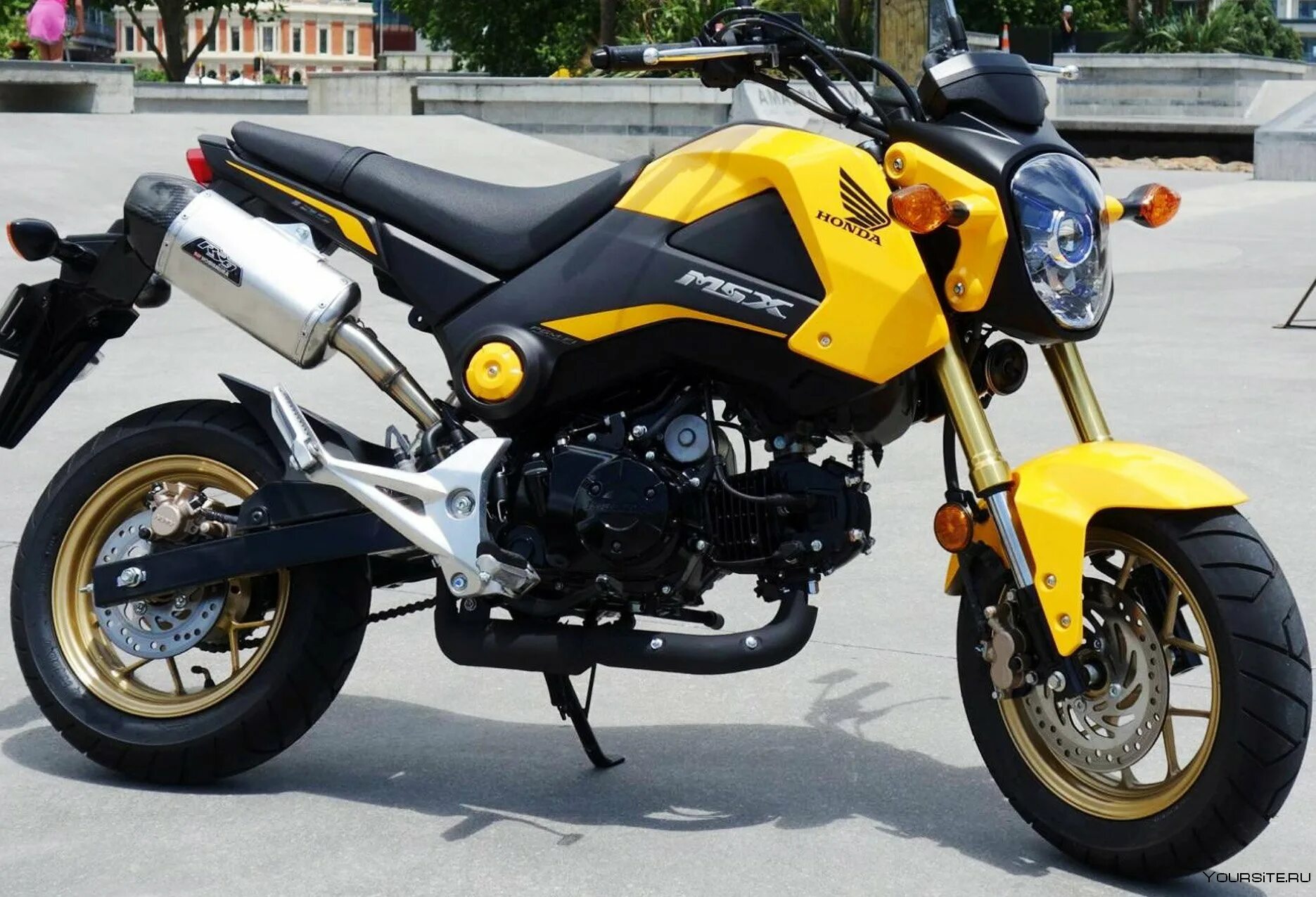 Honda реплики. Honda Grom 125. Хонда Гром msx125. Honda Grom / MSX. Honda msx125 Grom реплика.