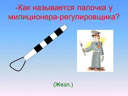 Палка регулировщика