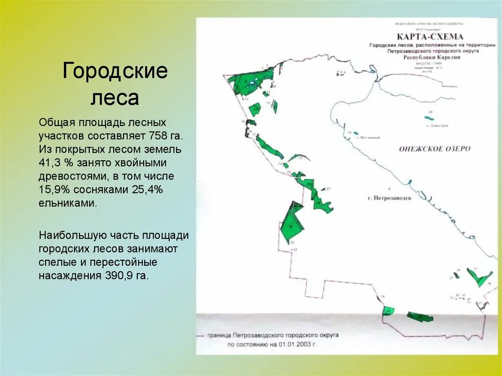 Каштакский бор сосновский район. Карта лесничеств свердловской области. Границы городского леса. Границы городского леса. Карта лесного свердловской.