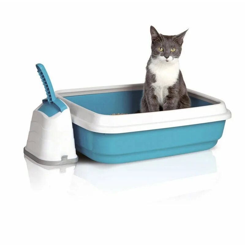 IMAC Duo лоток для кошек. Туалет для кошек Cat Litter. Лоток открытый IMAC Duo. Наполнитель для кошачьего туалета. Какой лоток лучше для кошки