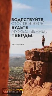 Бодрствовать