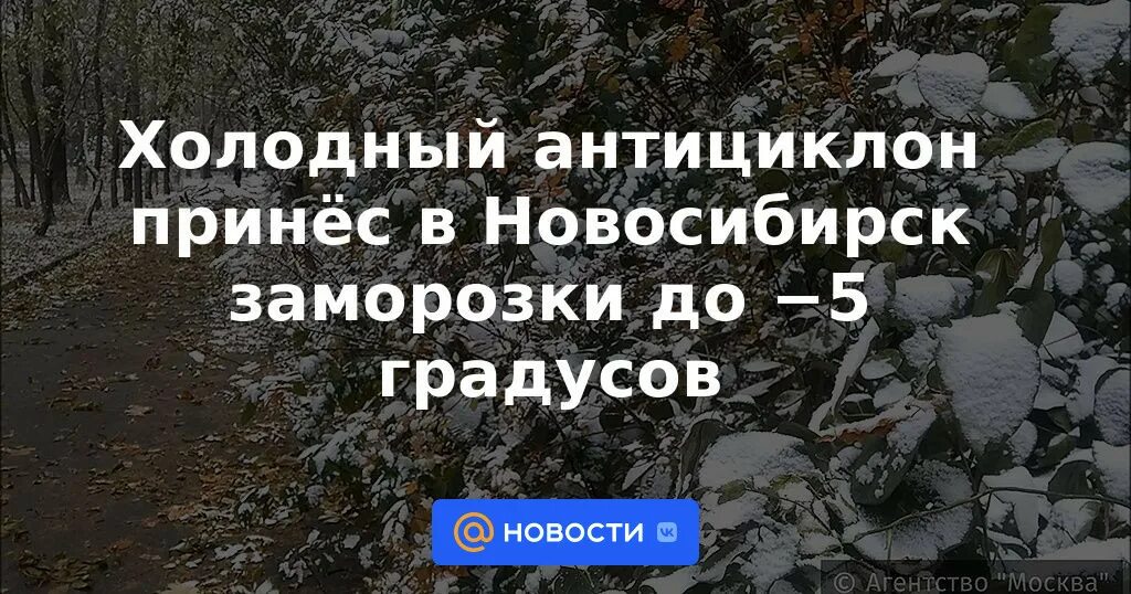 Холодный сентябрь. Холодно. Последствия заморозков в сентябре 2022. Заморозки в Новосибирске в сентябре 2022.