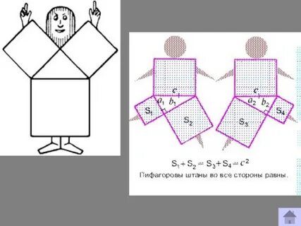 Пифагоровы штаны рисунок