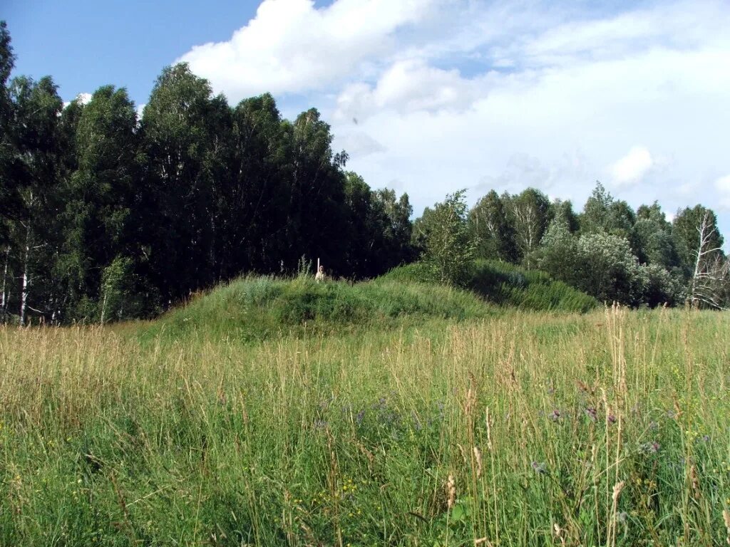 Деревня могильники. Деревня климщина. деревня курганная.