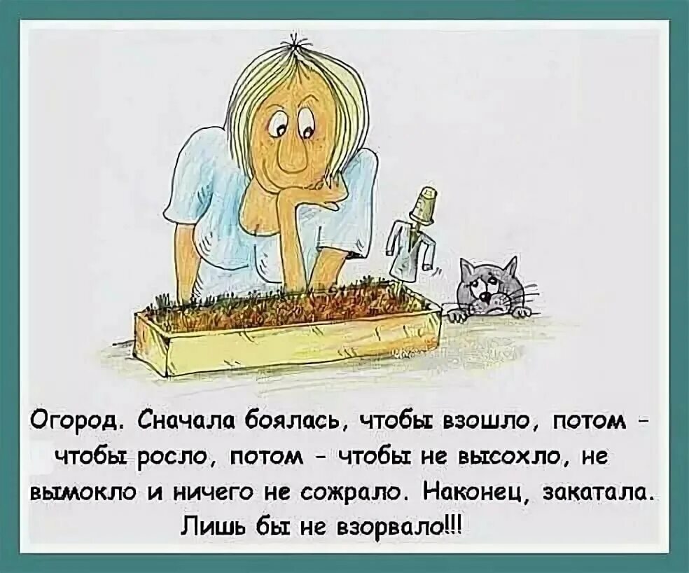 Огород юмор. Анекдоты про огород. Цитаты про огород смешные. Шутки про огород.