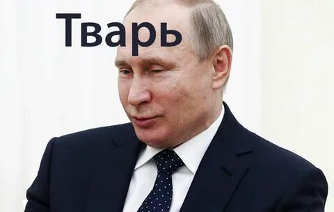 Твои тварь