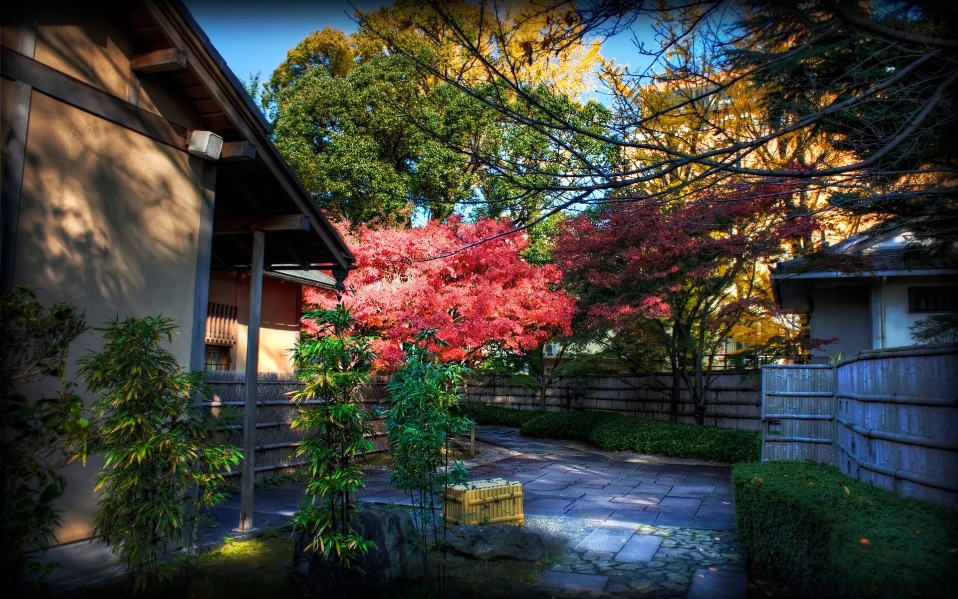 Сад в японском стиле. Японский пейзаж. Японский сад деревьев. Деревья в саду.