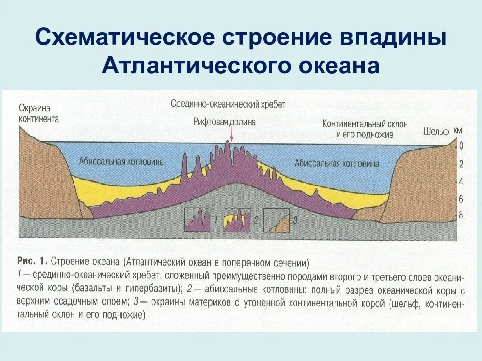 Рельеф дна Атлантического океана таблица. Геологическое строение и рельеф дна Атлантического океана. Геологическое строение дна Атлантического океана. Геологическое строение дна Тихого океана. Впадины океанов рельеф