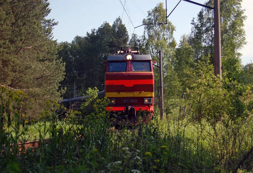 Поезд хвойная. Тепловоз л. Тепловоз в лесу. Поезд в лесу. Станция поезда в лесу.