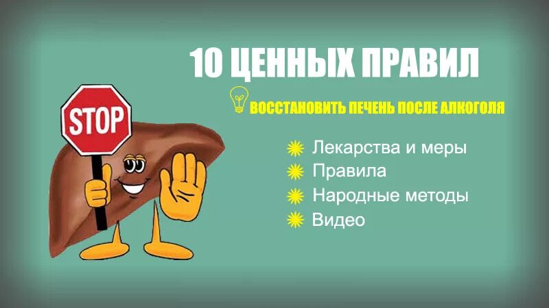 Сколько восстанавливается печень после отказа. Алкоголь печень восстановление.