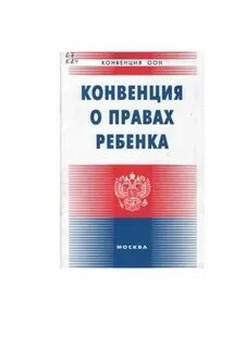 Особой конвенцией
