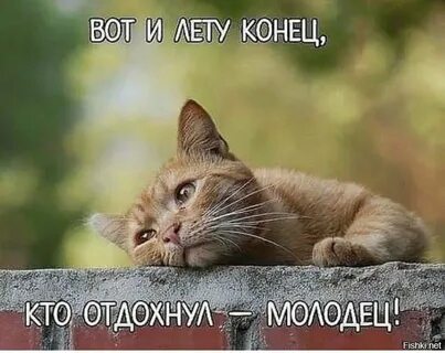 Не знаю пока отдыхаю