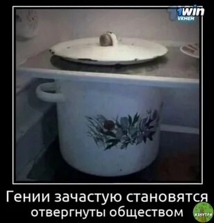Genius society