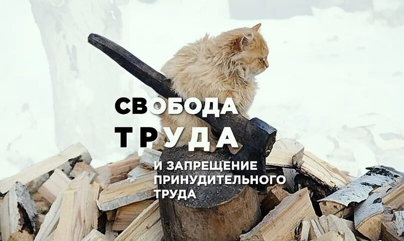 Выберите верное понятие принудительный труд. Запрет принудительного труда. Свобода труда. Принудительный труд. Принудительный труд картинки.