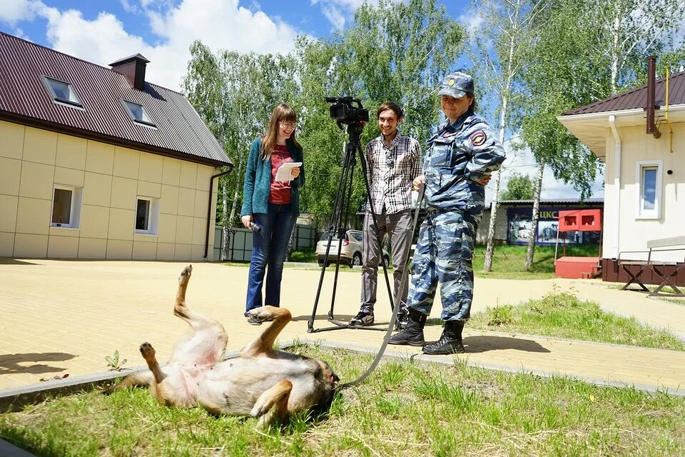 Кинолог центр. Ясная 13 Мурино Кинологический центр. Проект кинологического центра. Центральный Кинологический центр. Кинологический центр инстинкт.