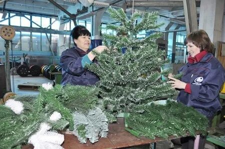 Хвойное производство