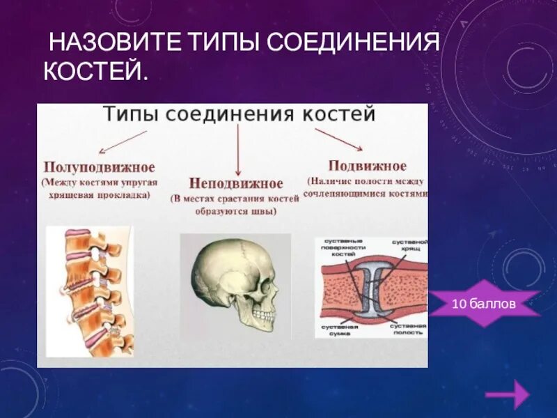 Подвижные полуподвижные и неподвижные кости. Неподвижные полуподвижные и подвижные соединения костей. Соединения костей подвижные и неподвижные полуподвижные таблица. Типы соединения костей таблица 8 класс биология. Типы соединения костей человека 8 класс биология таблица.