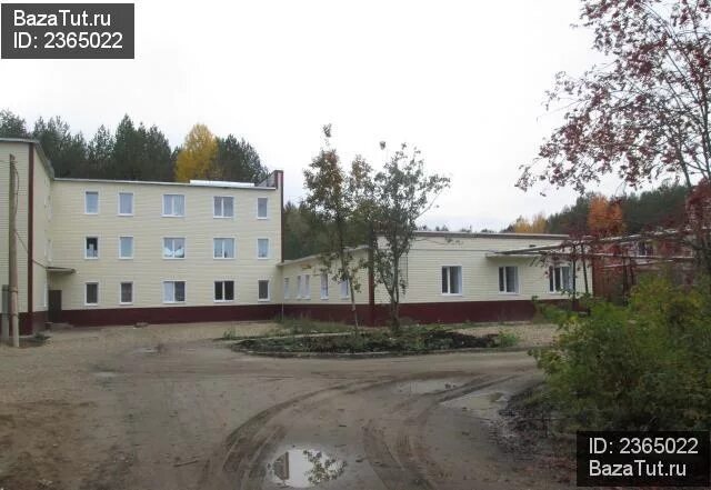 Ж. Станция стрижи. Стрижи вокзал киров. Пгт. Киров п стрижи.