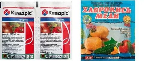Препарат спор