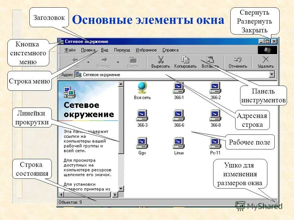 Окно панели элементов. Элементы окна. Элементы стандартного окна Windows. Структура окна Windows. Структура окна виндовс.