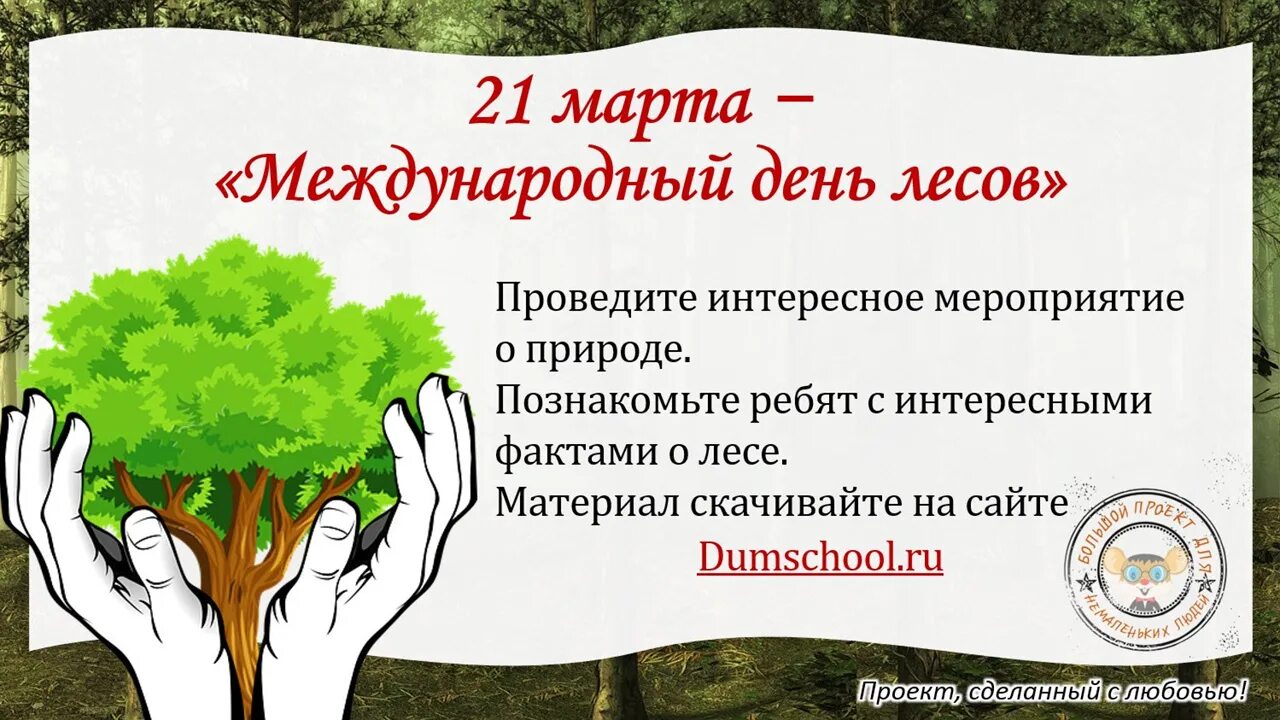 Международный день леса. Международный день леса картинки. Международный день лесов в детском саду.