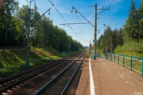 Абрамцево электричка