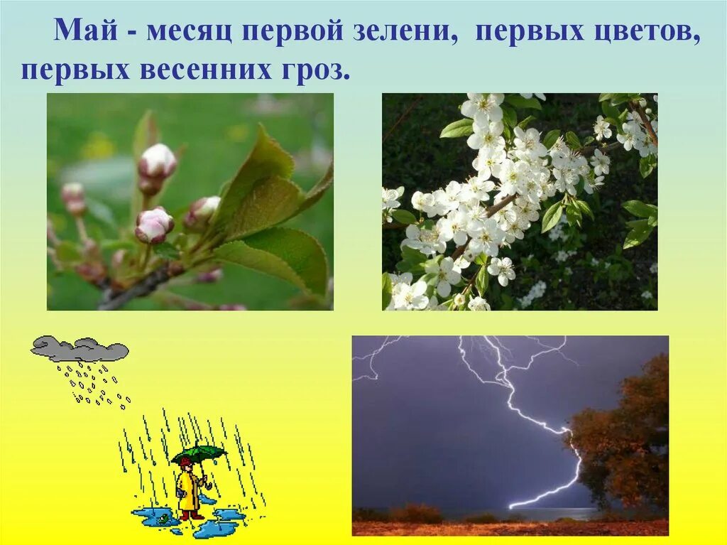 Месяц гроз. День весенней грозы. День весенней грозы 4 мая. В гости к весне 2 класс окружающий мир презентация. Окружающий мир в гости к весне.