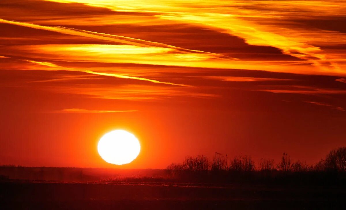 Эдвард григ утро картина. Бесшумно летают и как будто заглядывают в лицо летучие мыши. Огненное небо. Утренний рассвет. Закат пылает золотит луч.