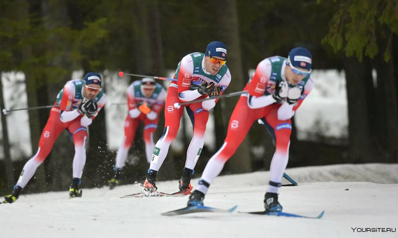 Международная федерация лыжного. Лыжный спорт в Финляндии. Известный лыжник Швеции. Самые красивые лыжницы Швеция. Лыжный спорт фото Финляндия.