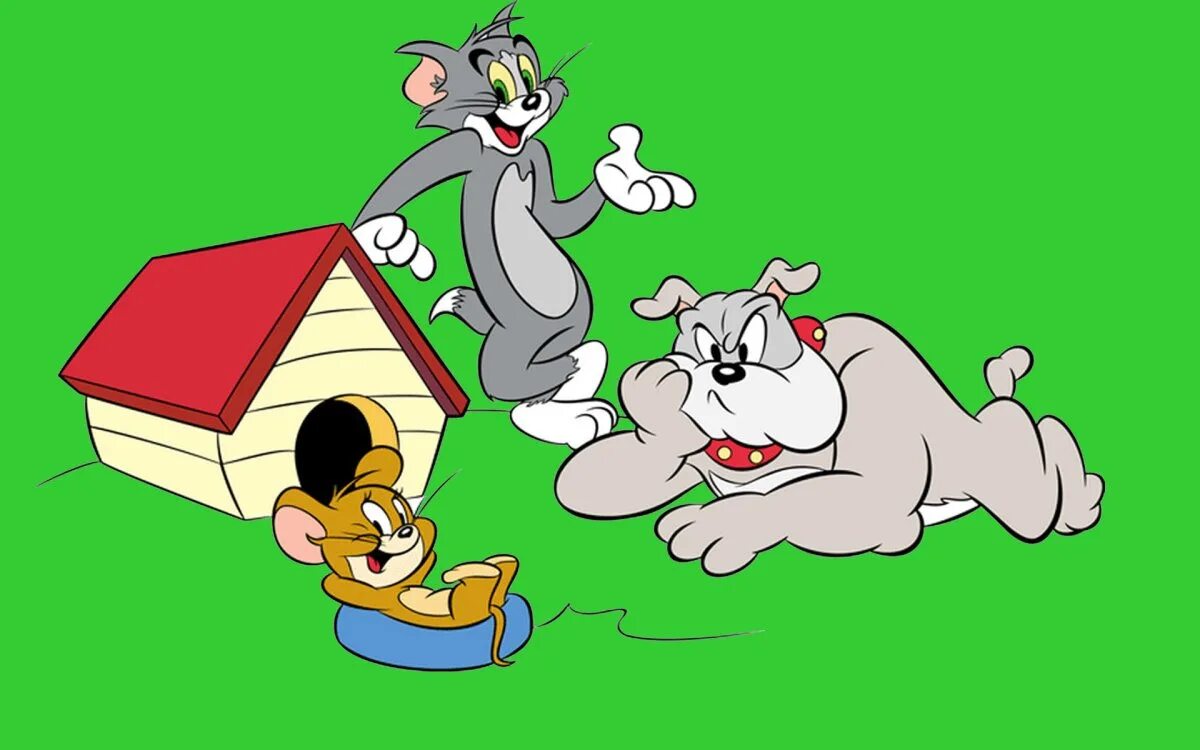 Аудиосказка том и джерри. Tom and jerry. спайк том и джерри. тайк том и джерри. герои из мультика том и джерри.
