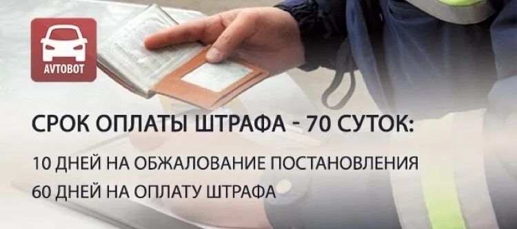 Скидка штрафы гибдд срок. Срок оплаты штрафа. Срок уплаты штрафа. Срок оплаты штрафа ГИБДД. Оплатить штраф ГИБДД.